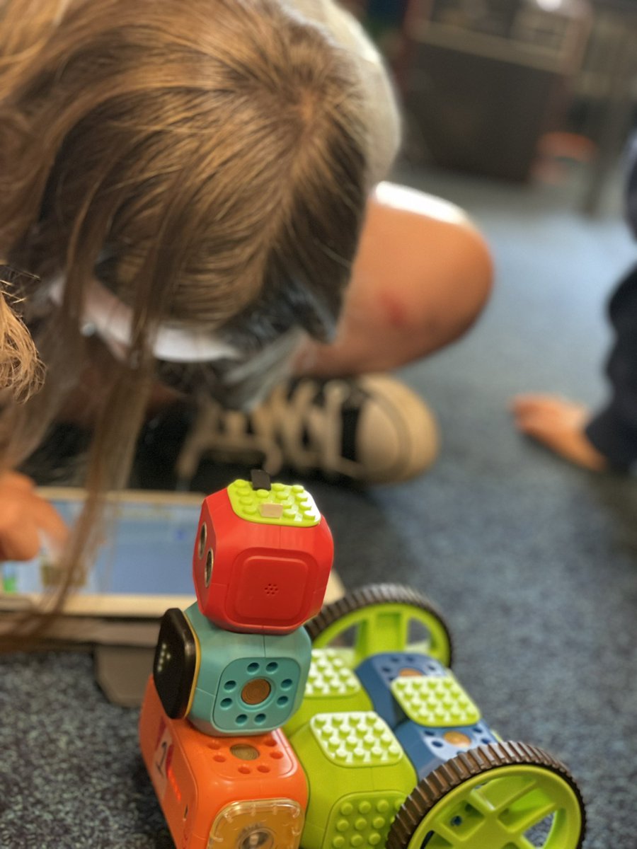 MrsDunne3's tweet photo. More @ScottishSPCA fun with P6. Using coding to create happy and angry cats! πΎπΎπ #animalwise @OLAPrimaryGlas https://t.co/JpF2uRNO5H