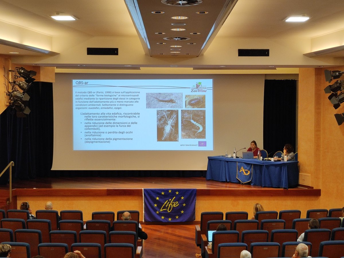 zeowine's tweet photo. Convegno Finale Progetto LIFE ZeoWine: Valutazione della #biodiversità della #mesofauna del #suolo a cura di Silvia LANDI del @CREA_Ricerca – Difesa e Certificazione 

#sostenibilità #viticoltura #vigneto

@LIFEprogramme 
@LIFEprogrammeIT 
@CNRsocial_ 
@DagriUnifi
@CMMasiniWine https://t.co/K4FlpoC6wq