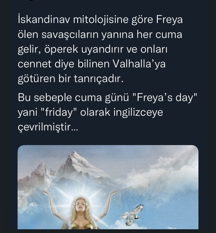 Hülya (@nymphoz) on Twitter photo 