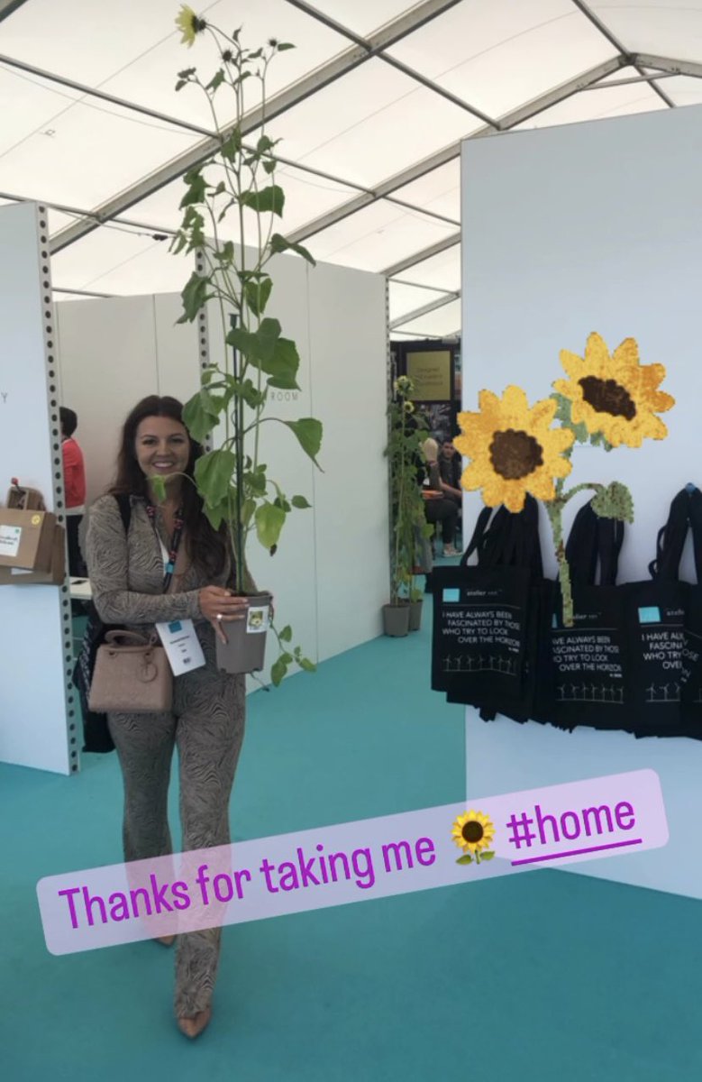 FootprintPlus's tweet photo. The beautiful #Sunflowers are finding a new #happy home! #footprintplus22 #netzero #day #three https://t.co/DMfnemfpCt