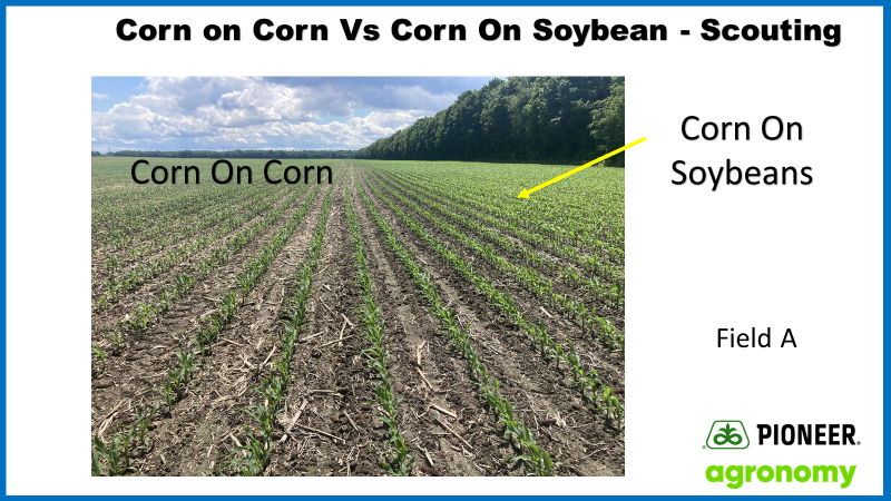 phhermans's tweet photo. If you ever wonder about differences in cornπ½ on corn π½ vs. corn on soybean rotation, this information should make you think π€π€twice about the economics π°π΅πΈπ² of different crop rotations. #CropRotation #ontag #Agronomy #DigitalAgronomyTools @PioneerSeedsCA https://t.co/JNQHDIuK64
