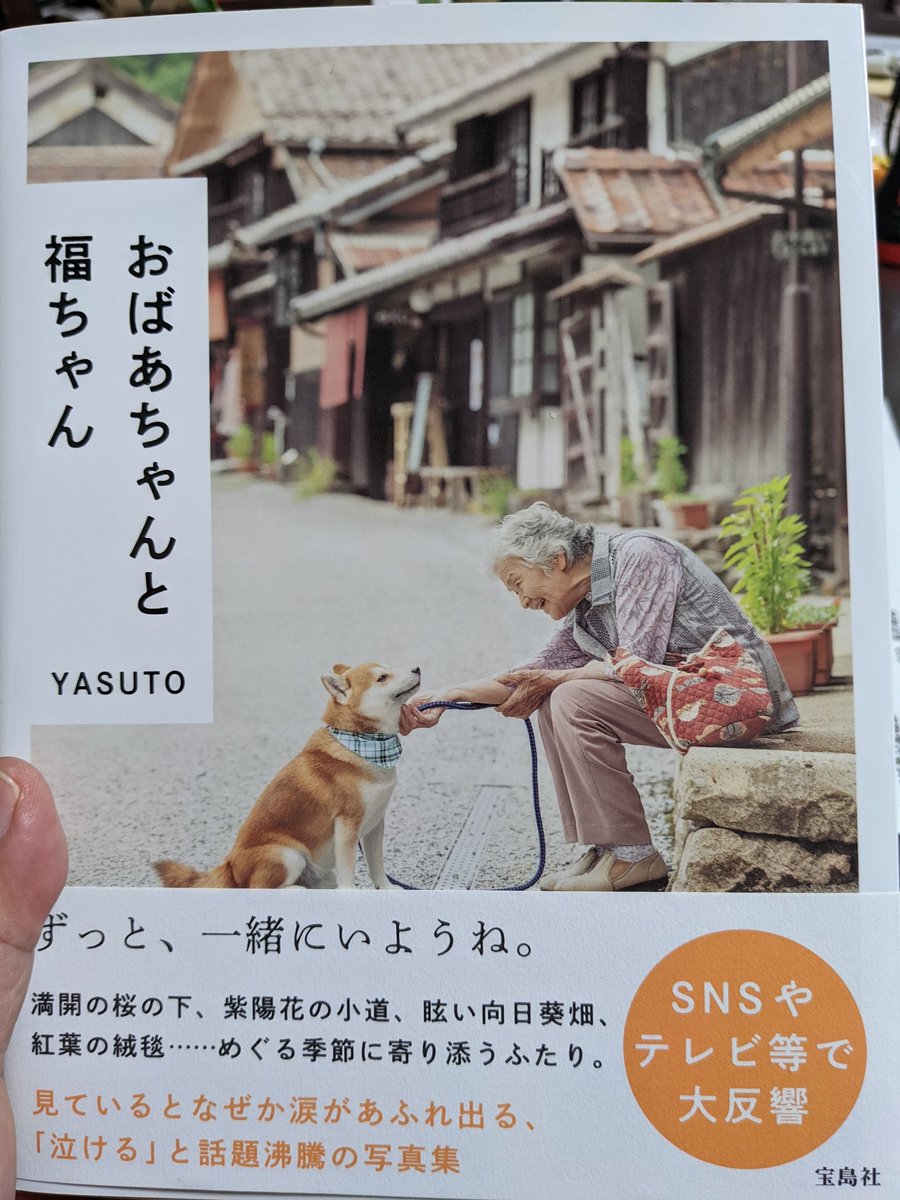 b2065's tweet photo. 癒やされる〜☺️☺️☺️
#おばあちゃんと福ちゃん
#YASUTO https://t.co/ylUjuXrwt6