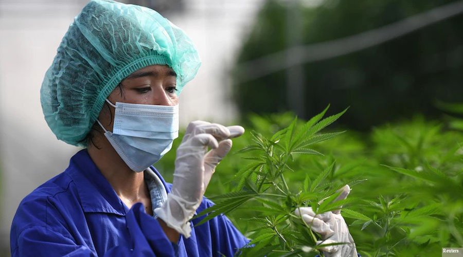 Onlinekhabar tweet media