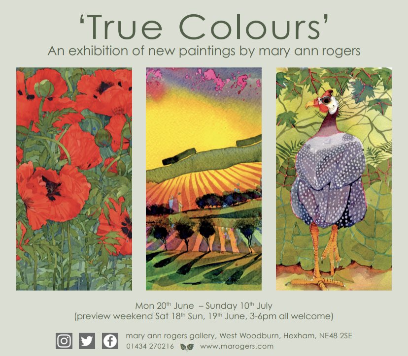 Exhibition preview weekend soon! 
Sat 18 &amp; Sun 19 June 3-6 pm.
All welcome for a glass of fizz, a browse then tea and cake ( or meringues .. sandwiches ) 
Lots of new paintings #art #Watercolourpainting #wildlifeart #landscapepainting #colour #beautifulthings #daysout