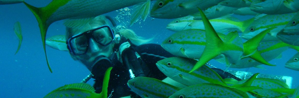 🆕 Paid Job Posted! 

<a href="/GVIWORLD/">GVI</a> are hiring a Marine Science Manager

💻 Role: Marine Science Manager - Mexico
🌊 Employer: WiseOceans
📌 Location: Multiple Locations 
💼 Type:  Paid Jobs | Mid /Senior 
👉 Details: wiseoceans.com/jobs/marine-sc…

#job #hiring #Jobs #marine #mexico #ocean