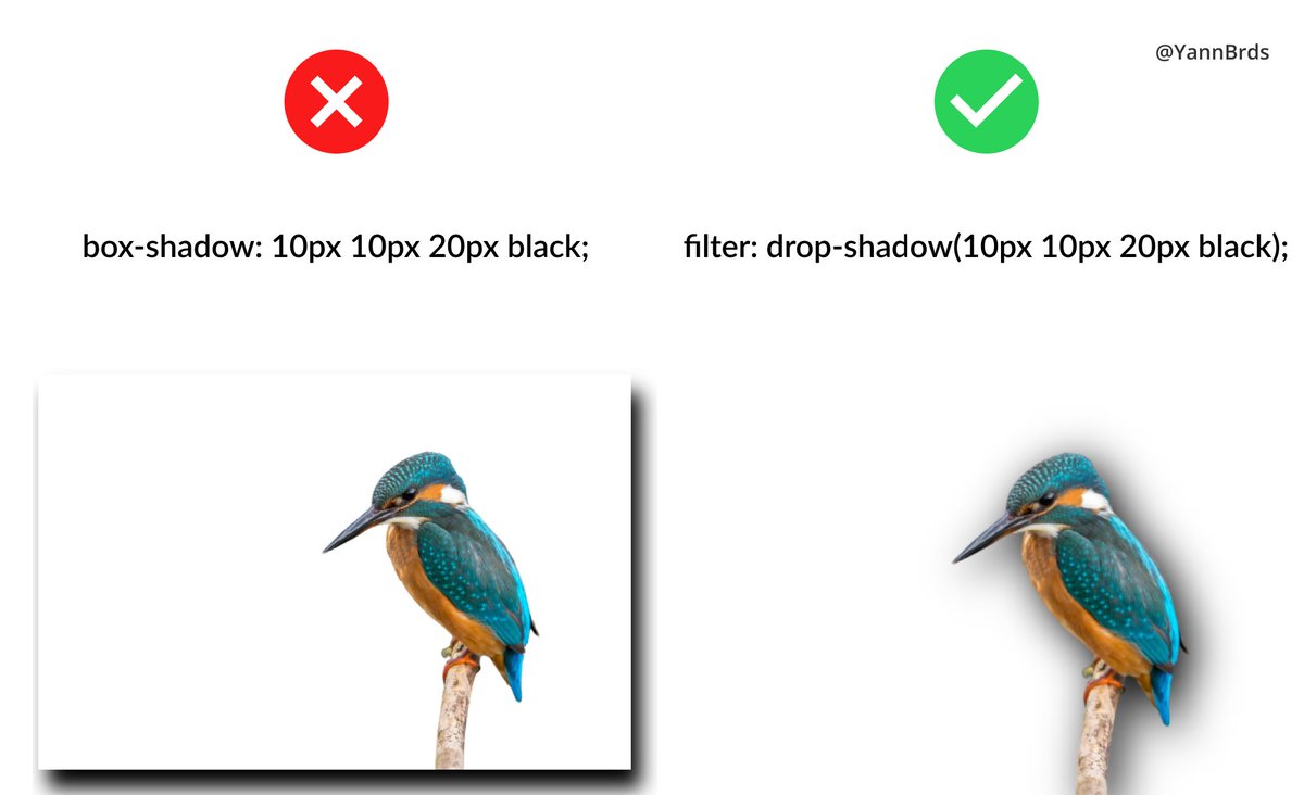 YannBrds's tweet image. 💡 CSS Tip
➡️ With a transparent image, use the filter property instead of box-shadow:
#100daysofcode #coding #javascript