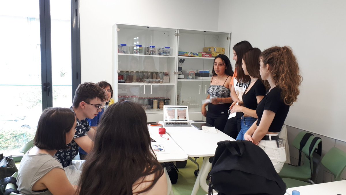 After reading a few chapters of 'Creative Schools'  by Ken Robinson or 'The Wonder Approach by Catherine L'Écuyer, student-teachers at @umanresa presented 4 powerful ideas to their classmates.  They did a wonderful job!
#teachereducator #meaningfullearning