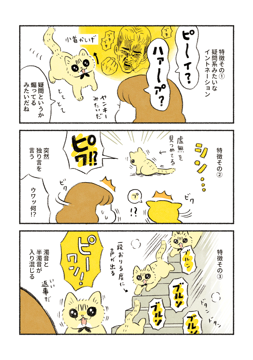 【再掲】
ちーちゃんの鳴き声 