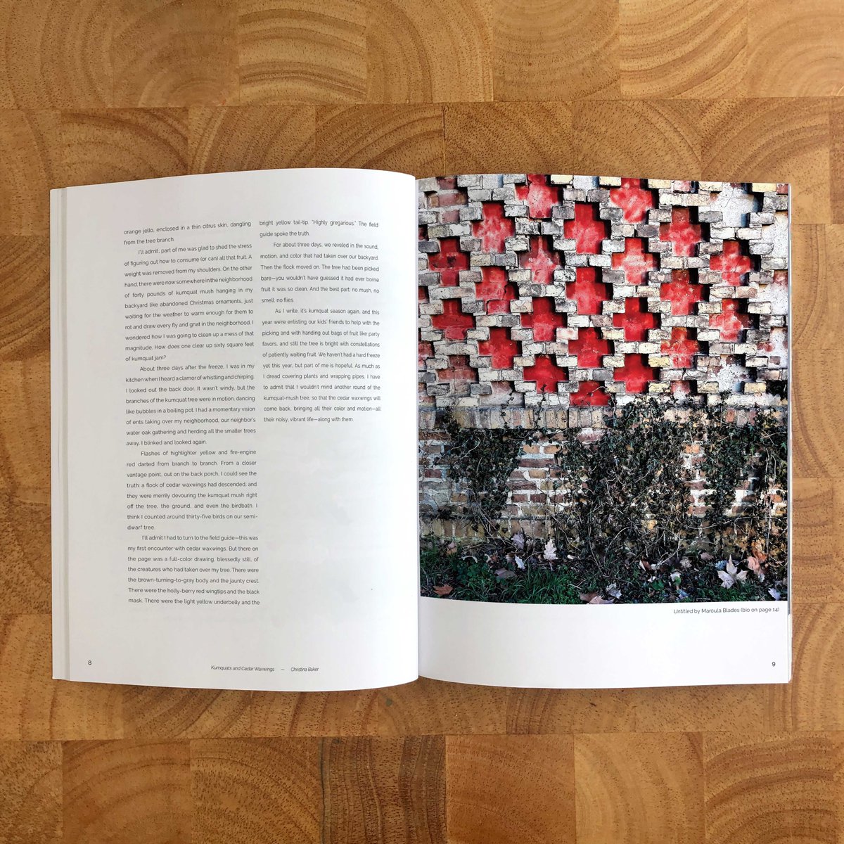 Stonecrop Review tweet media