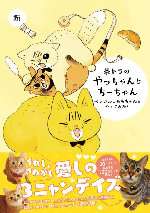 【発売中】
『茶トラのやっちゃんとちーちゃん〜ベンガルのももちゃんもやってきた!』

描き下ろし30P以上、秘蔵写真100枚以上収録✨
2022/06/20(月) 23:59までにAmazonで紙書籍をご購入いただいた方に、「スマホ用壁紙3種 データ配信」の特典をプレゼント🎁

https://t.co/AXE8t53o33 