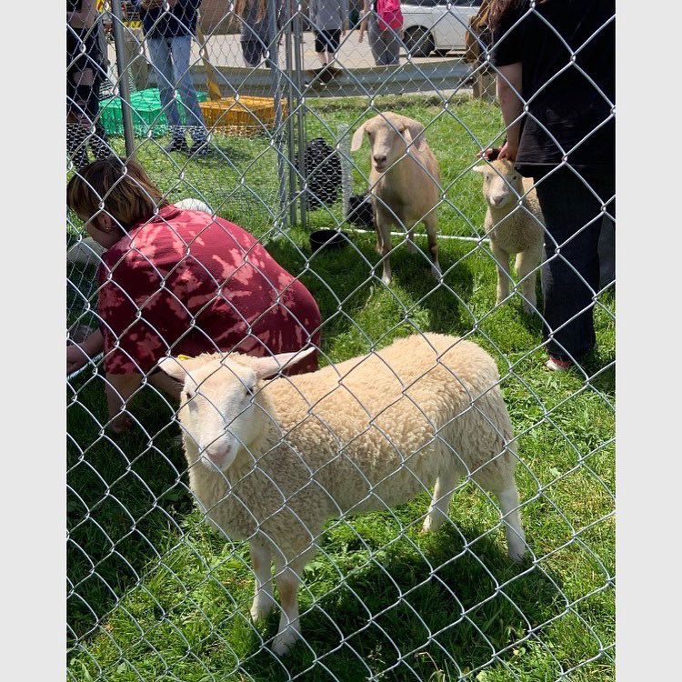 OSDSS_Official (@osdss_official) on Twitter photo Some photos of yesterday’s #OSDSS Fun Day. Thanks to the #OwenSound Fire Dept, the #StudentCouncil, and the #BWDSB Agriculture SHSM program for providing such fun activities!
<a href="/OwenSoundFire/">Owen Sound Fire</a> <a href="/CityOwenSound/">City of Owen Sound</a> <a href="/IAFF531/">Owen Sound FF L531</a> <a href="/CDCSAg/">CDCSAg</a> <a href="/BluewaterDSB/">Bluewater DSB</a> Some photos of yesterday’s #OSDSS Fun Day. Thanks to the #OwenSound Fire Dept, the #StudentCouncil, and the #BWDSB Agriculture SHSM program for providing such fun activities!
<a href="/OwenSoundFire/">Owen Sound Fire</a> <a href="/CityOwenSound/">City of Owen Sound</a> <a href="/IAFF531/">Owen Sound FF L531</a> <a href="/CDCSAg/">CDCSAg</a> <a href="/BluewaterDSB/">Bluewater DSB</a>