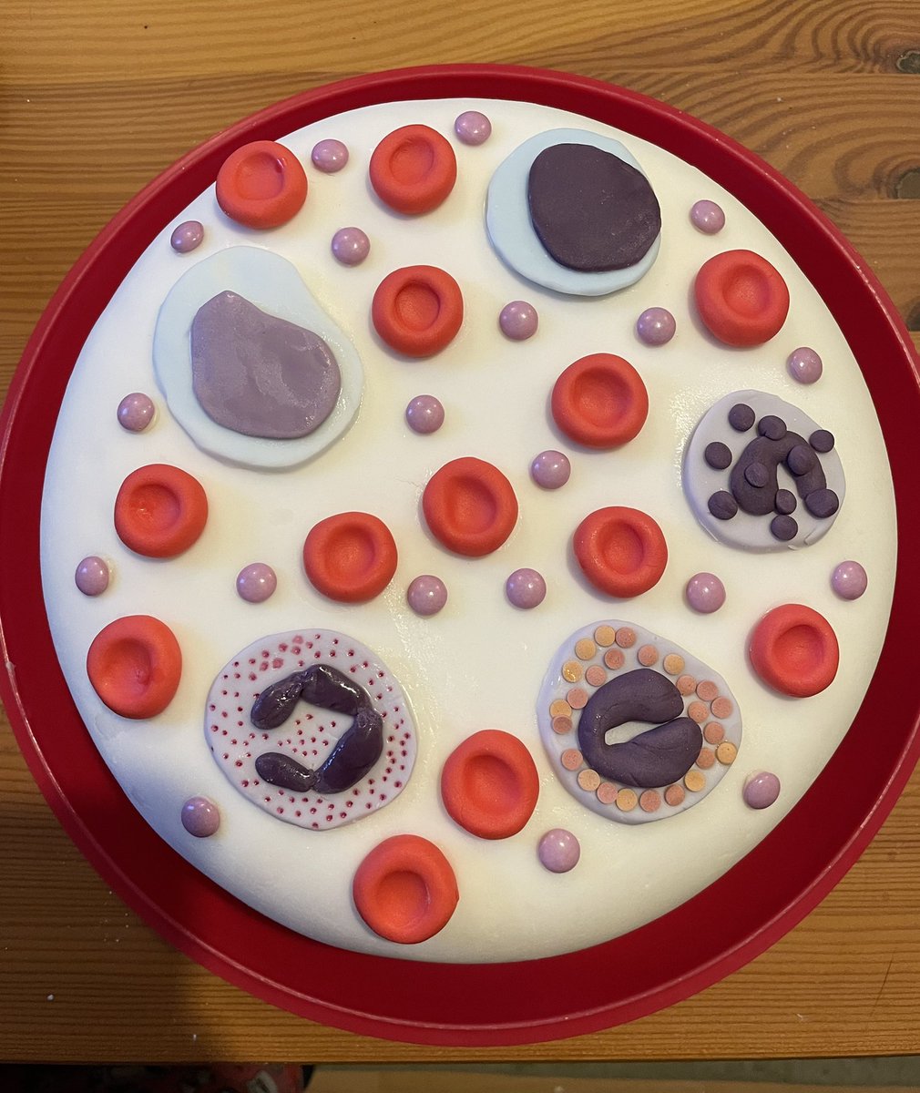 Happy #BiomedicalScienceDay2022. My friend and colleague, Rowena @Friday_17 made this amazing blood cell cake ☺ 🎂