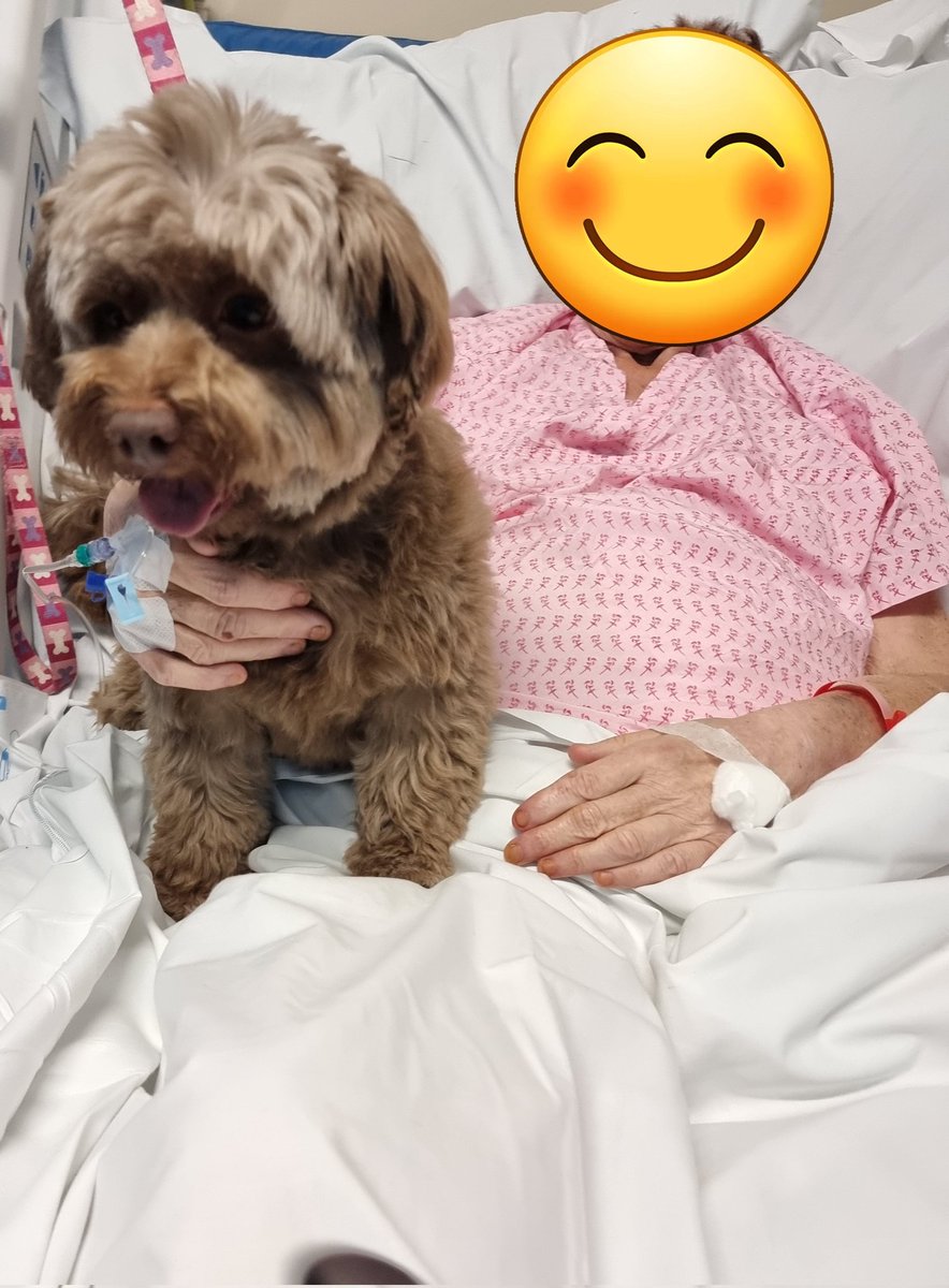 Fiinding out what's important for our patients.. for this patient not seeing her dog has affected her mental health significantly, she is very poorly so the ward made it happen for her to see her dog just for a short time. <a href="/ULHTpatients/">Patient Experience</a> <a href="/ulhtmedicine/">ULHT Team Medicine</a> <a href="/ClareSpendlove/">Clare Spendlove</a> #wmty22