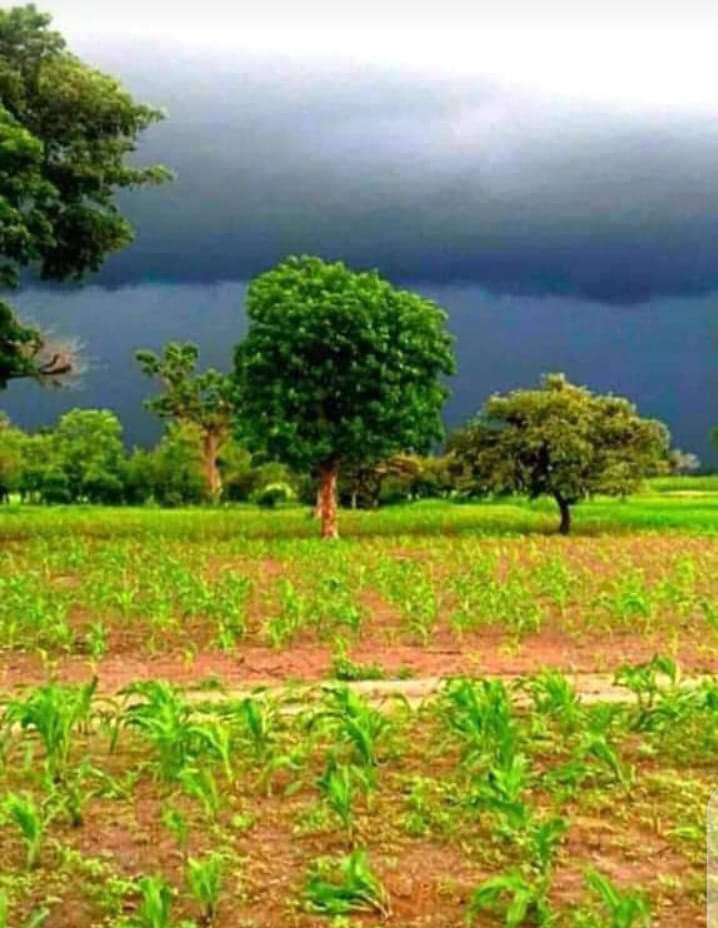 AgriArno's tweet photo. La souffrance est le chemin de tous,tout le monde y passe. Et que cela ne soit pas pour toi une malédiction mon ami,mais un sujet de grandeur. Sache que, pour être fort tu dois affronter les difficultés de la vie,tu dois être prêt à défier le domaine de la peur et rester positif. https://t.co/t3CFLGOKRn