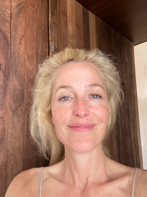 Gillian Anderson tweet media