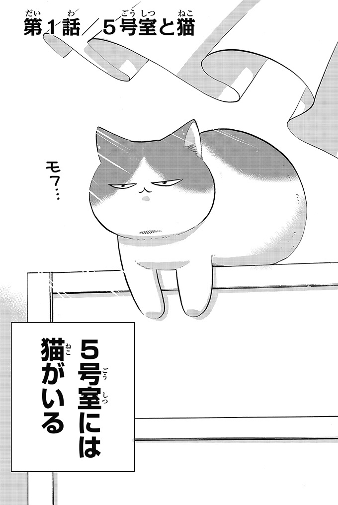 あの野球部に猫が現れるはなし
1まいめ 