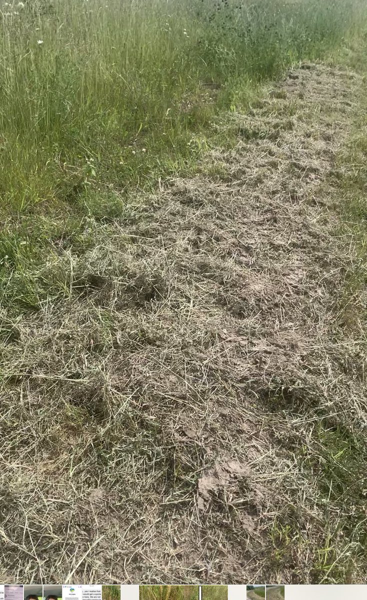 Donna Zimmer tweet media