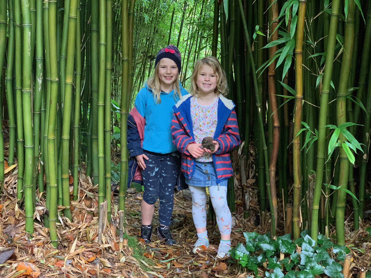 TinBoxTraveller's tweet photo. Love #NationalTrust gardens and grounds? Here's all you need to know about Coleton Fishacre in South Devon https://t.co/MhUqsUJ5HM #ColetonFishacre #daysoutinDevon #Devonwithkids https://t.co/ZDFDJSFFHo