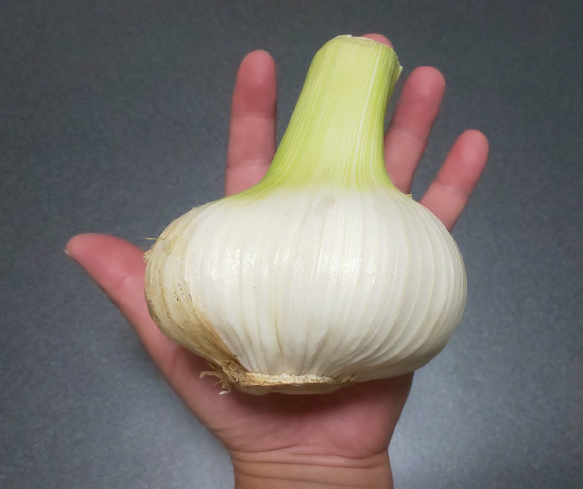 廣瀬裕二 (@yujihirose_oa) / Posts / X