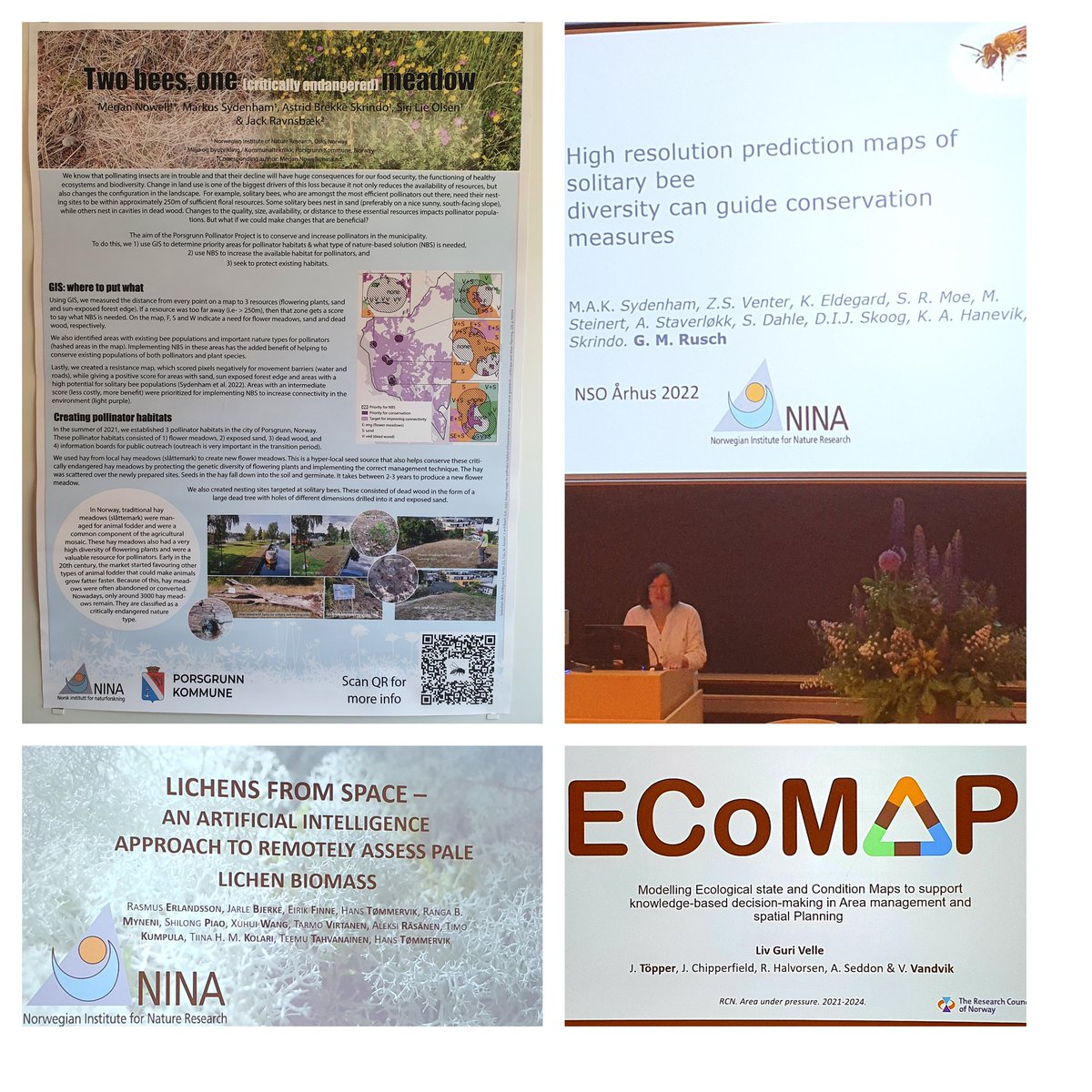 NowellMegan's tweet photo. Great to see some @NINAnature research projects at #NordicOikos2022 https://t.co/eMoCXPgdfH
