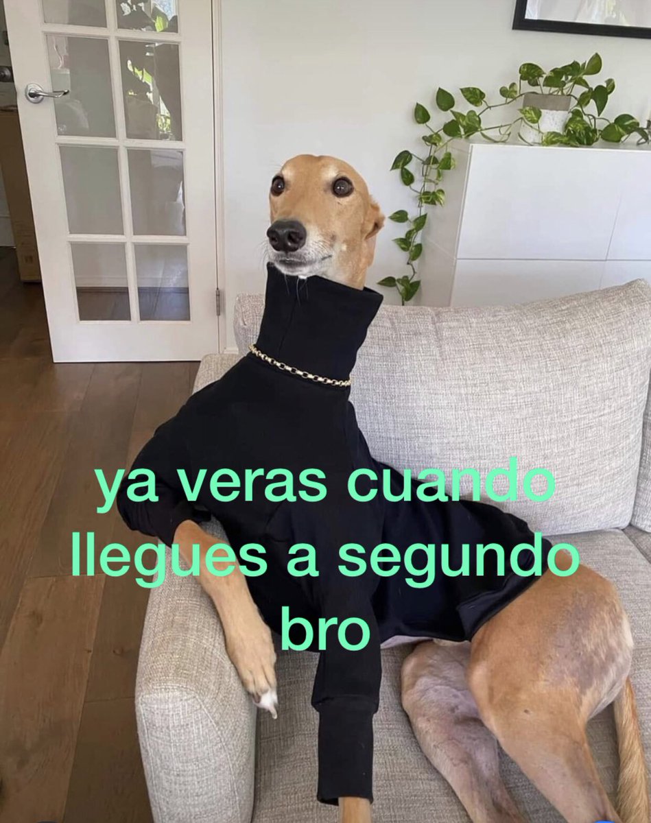 Yo: "Pfff joder primero es muy complicado"

Nadie:

Absolutamente nadie:

El pibe que lleva 7 años en la carrera y 9 mensualidades sin pagar: