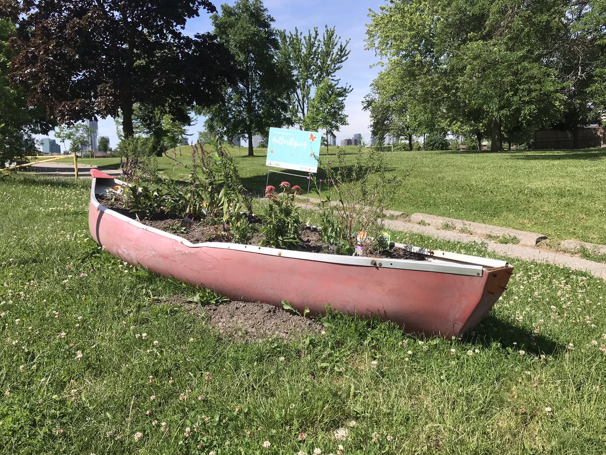 J. B. Tyrrell Senior Public School tweet media