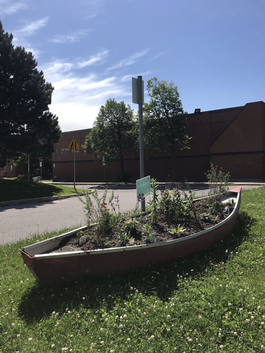 J. B. Tyrrell Senior Public School tweet media