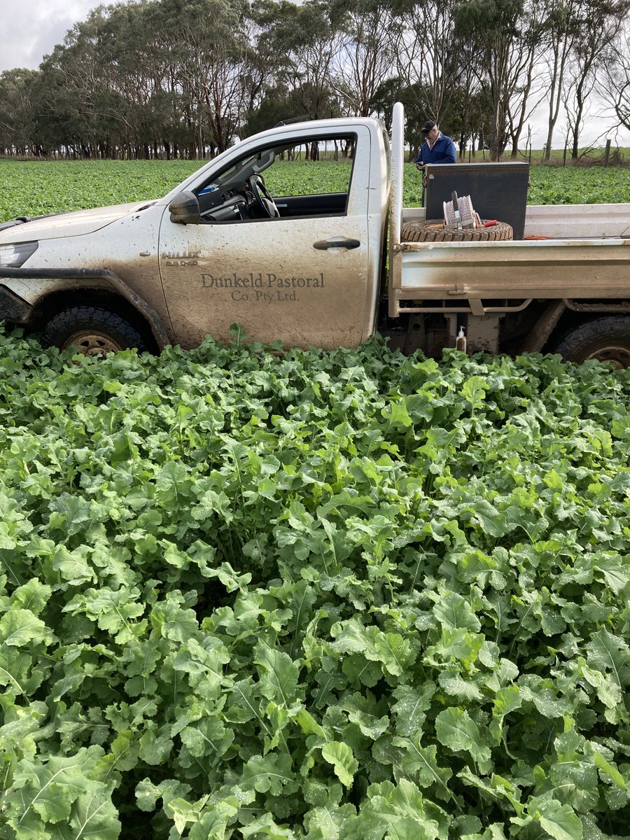 Ag Diagnostics tweet media