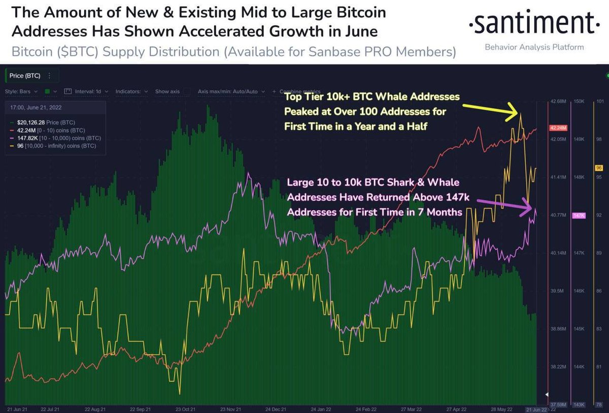 GisellaPen's tweet photo. ⚡️ Santiment

🐳🦈 While the market is being suppressed, the number of large bitcoin addresses online has increased. Addresses with 10,000-10,000 BTC rose sharply after falling 2 weeks ago, addresses with 10,000+ have been rising since February https://t.co/7TWbx9a8YX