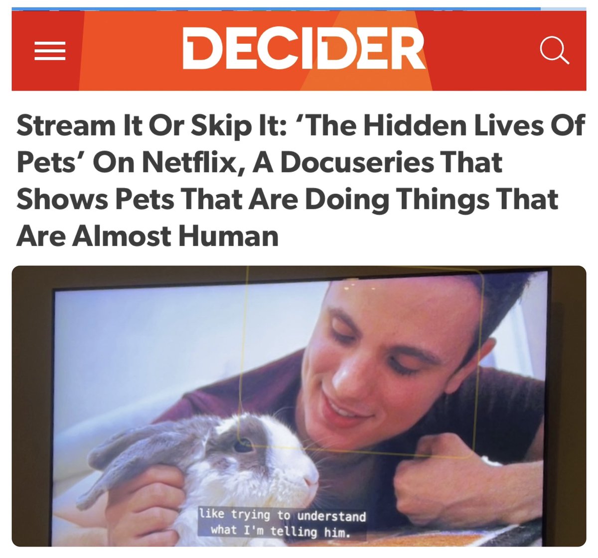 Bini is officially on Netflix on a documentary series. You can now watch our life together at home! He’s on the first episode (and the name is-Intelligence ). Once again, Bini shows the world how smart rabbits are! Respect 😍❤️ <a href="/netflix/">Netflix</a> The hidden lives of pets.