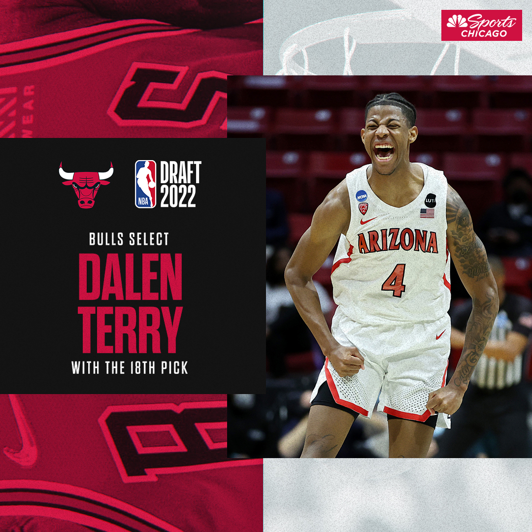 Your newest Chicago Bull is <a href="/DalenTerry/">Dalen Terry</a> out of Arizona 😤