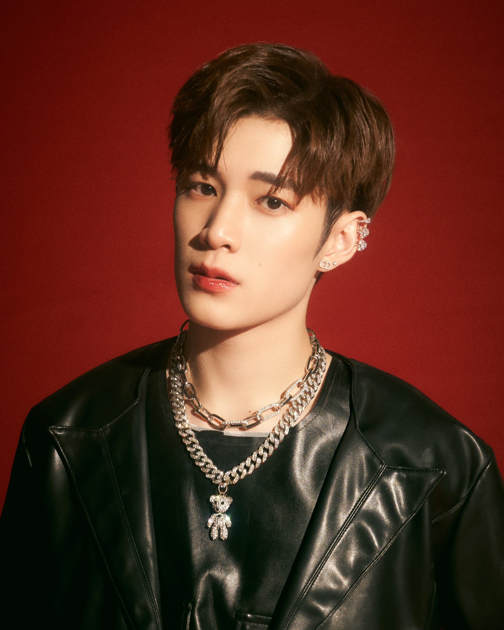 DOMUNDI Profile & Facts (Updated!)