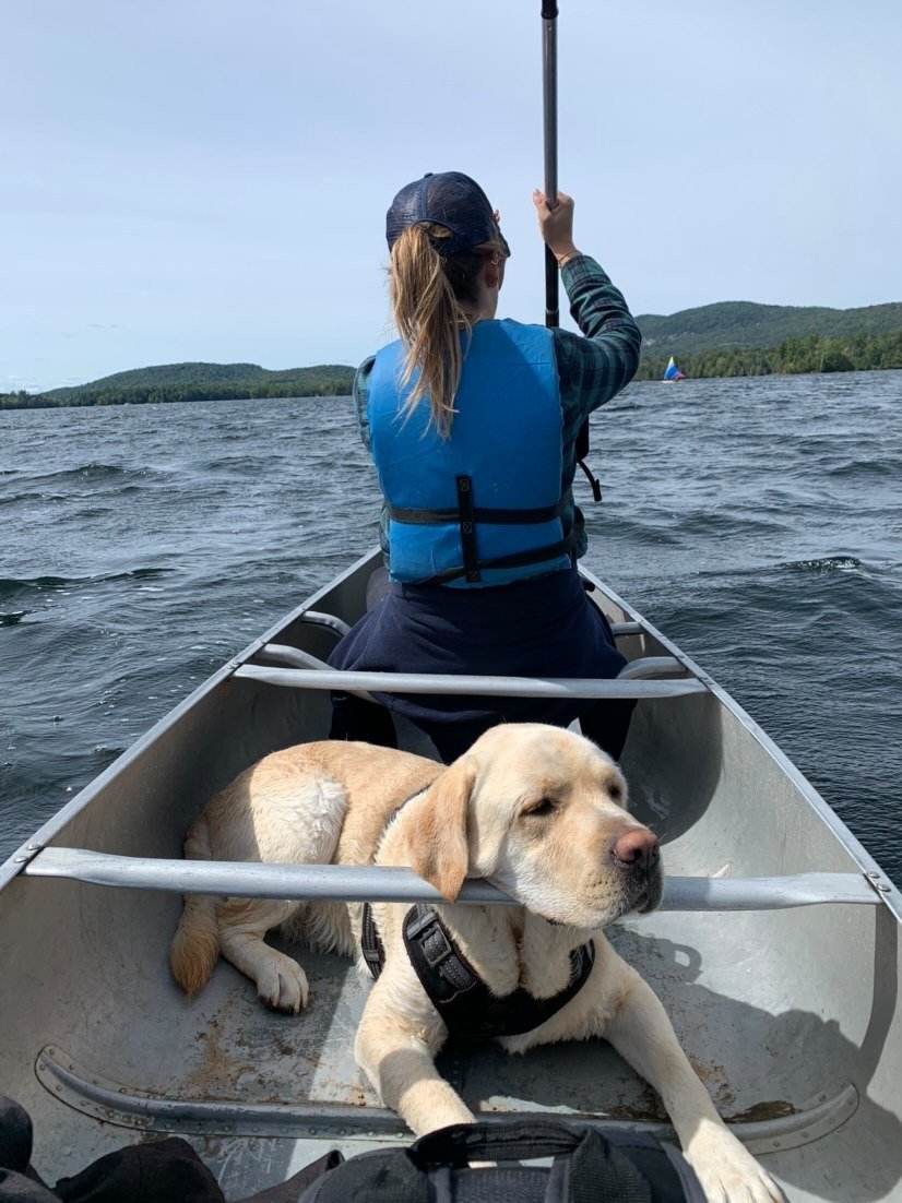PawsitiveTales's tweet photo. It's almost the weekend and it's time for a new tale! Today, we're sharing Christine's story with her talented doggo, Max! This is Christine and Max's story. 
https://t.co/NqwPbIRCtf https://t.co/CZK9n2DjcN