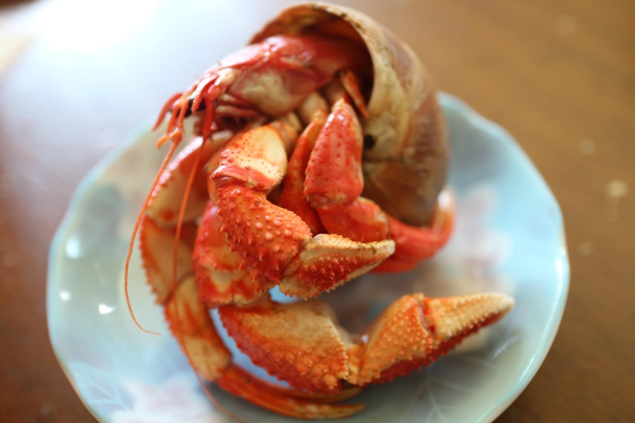 北海道別海町 北翔丸水産 ヤドカリ 別海のヤドカリは美味しい ギョギョと思った方 あの皆さんが食べる タラバガニもカニ科ではなくヤドカリ科ですよ 甘くて美味しい珍味 ご購入したい人いますかね 北海道 北翔丸 Hokkaido T Co
