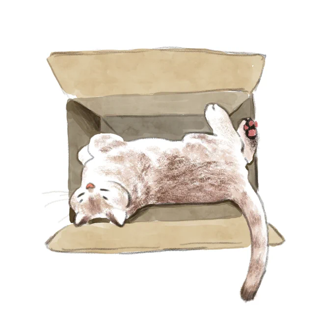 if it fits 
