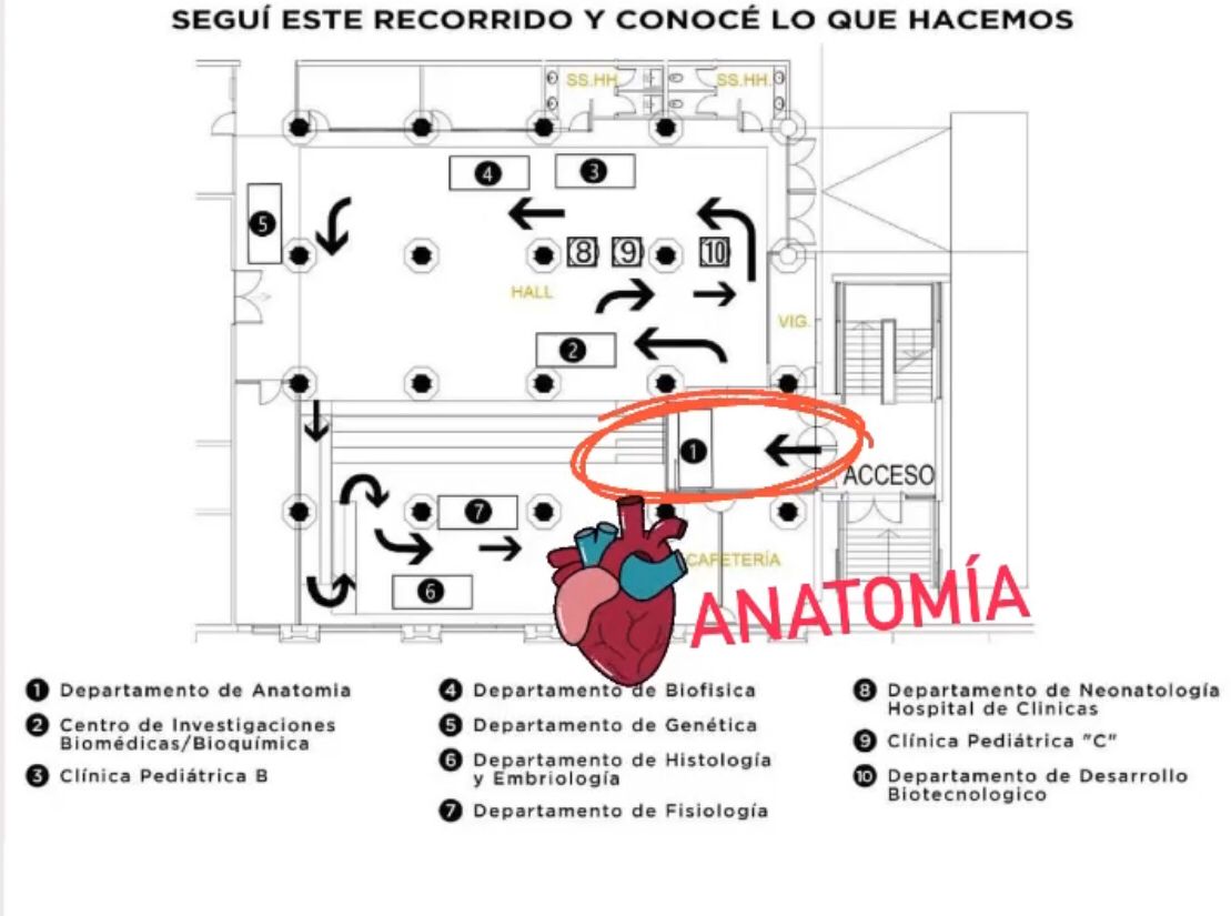 AnatomiaUy's tweet photo. Ubicación de nuestro stand https://t.co/sn9JPBTaSt