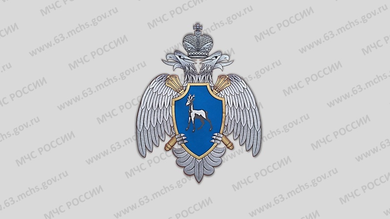 Сводка ЧС и происшествий на 06.00 (мст) 24 июня 2022 г 63.mchs.gov.ru/deyatelnost/pr…