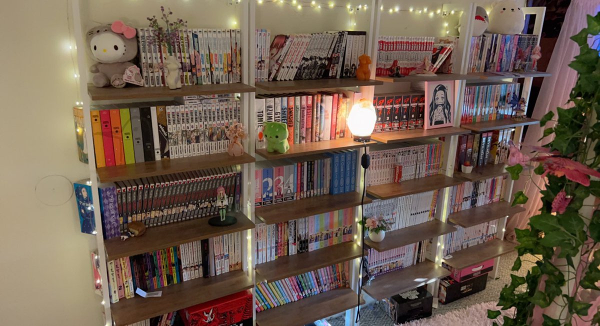 sanrio_bby's tweet photo. she’s a ten but she hoards manga https://t.co/76lM2CxBBu