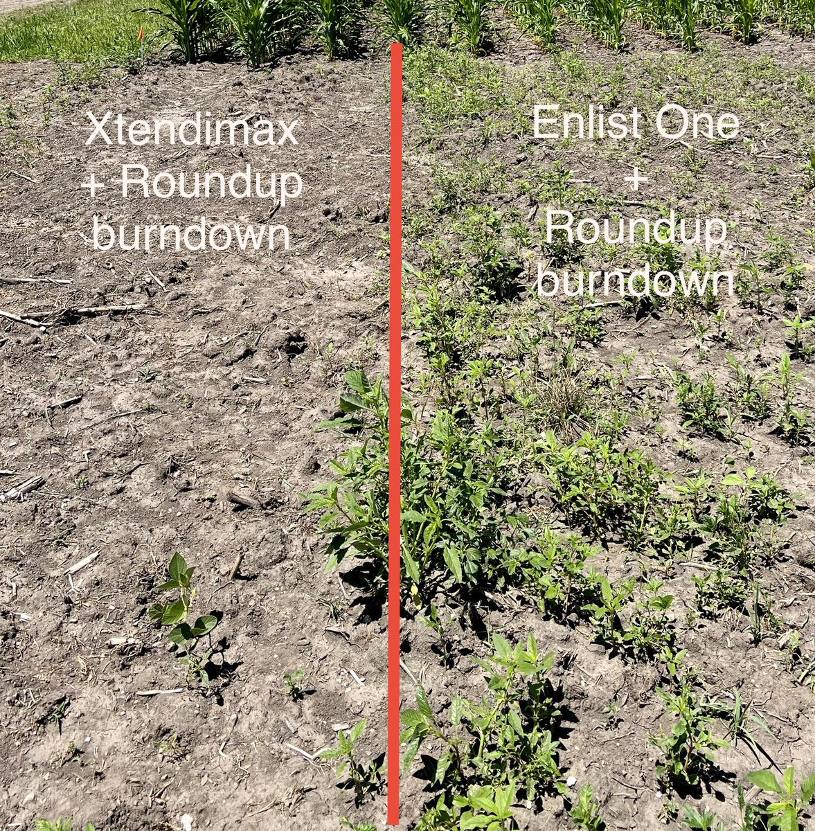 The bonus residual from Xtendimax burndown vs the competition is a clear advantage! #Bayer4IL @DKAS_WCIL