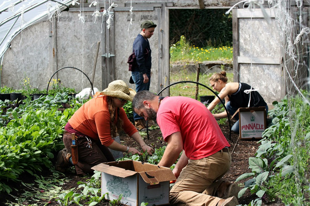 tilthalliance's tweet photo. “Jack’s values and his commitment to encouraging people to care for the Earth are such a great fit for Tilth Alliance." Learn more about our partnership with Jack Johnson on our blog, and double your donation today! https://t.co/dIUBSg5Ml0 https://t.co/rCgb75PrJp