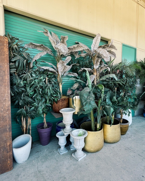UniStudiosLot's tweet photo. Greenery can completely transform your set or event ππͺ΄π± The Universal Property team has just what you're looking for!
#onthelot #plants #uniproperty https://t.co/VXTFxpjQZM
