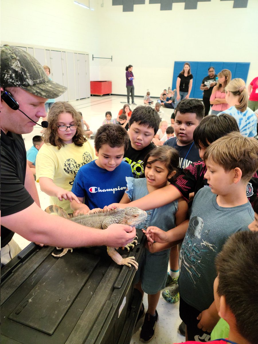 SullivanTeach's tweet photo. We had so much fun learning about reptiles today! #d123summer https://t.co/2UrTJ0k4fG