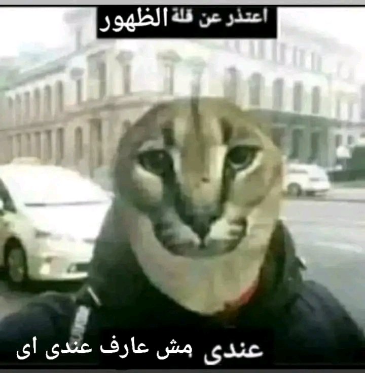 أـوزوريـس (@bnkhlid_) on Twitter photo 
