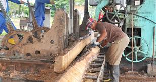 Empresa Agroforestal Matanzas (@agrofor2empresa) on Twitter photo 