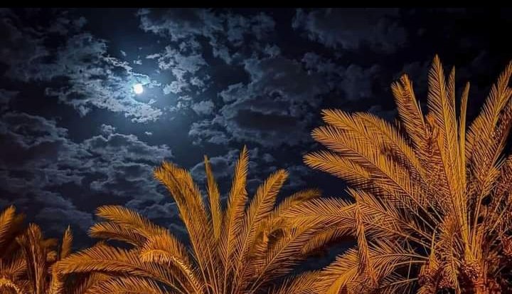 "️يا مُحَمَّد فُلان ابن فُلان يُصلِّي عَليكْ." ♥️
صلو عليه وسلموا تسليما🌹