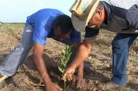 Empresa Agroforestal Matanzas (@agrofor2empresa) on Twitter photo 