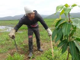 Empresa Agroforestal Matanzas (@agrofor2empresa) on Twitter photo 