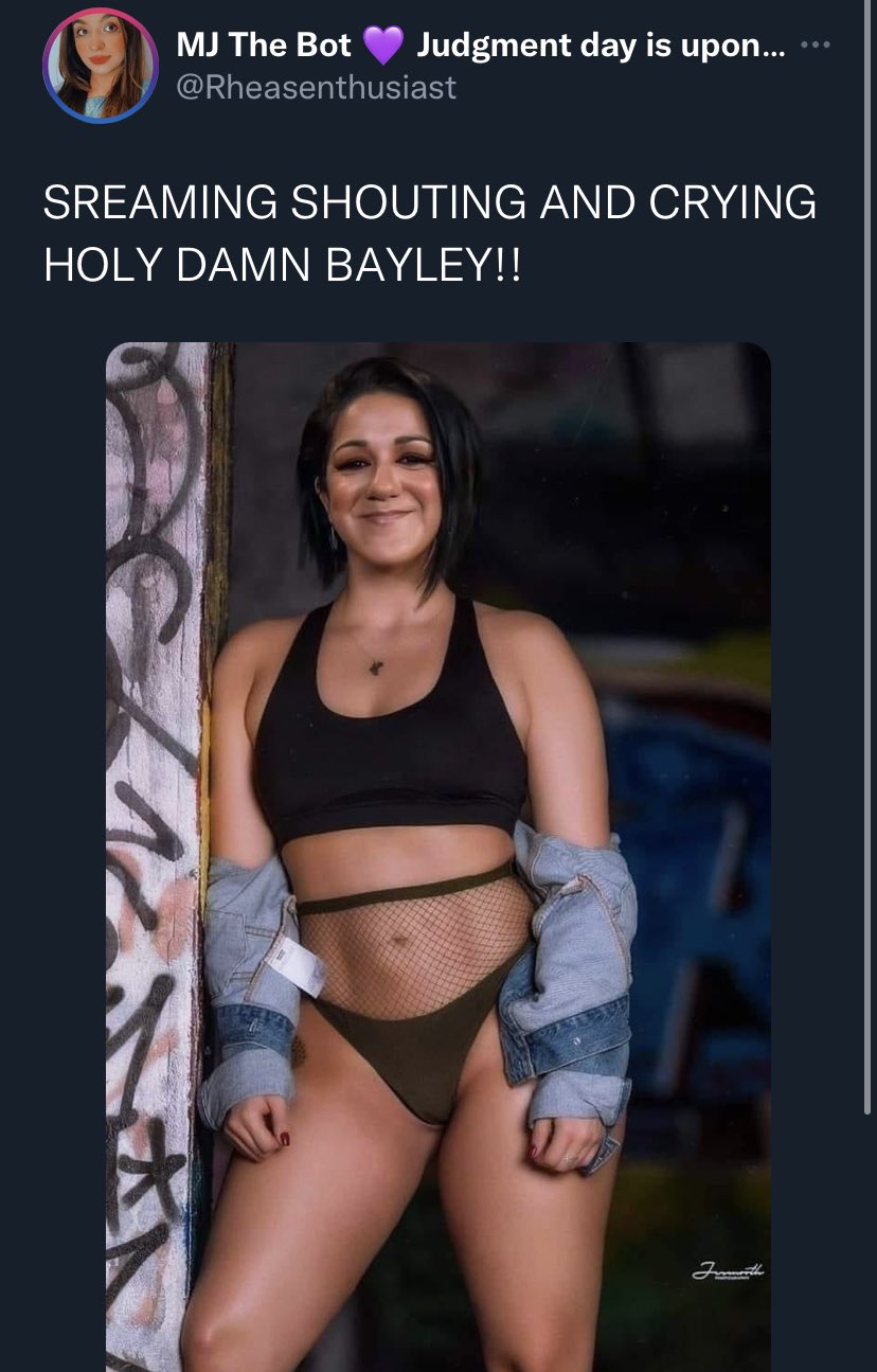 𐚁 𝒮𝒽𝑒𝓇𝓂𝒾𝑒 on X: Theres a reason Bayley does not wear provocative  ring gears or posts pictures of herself embracing nudity, and its to avoid  these exact things… And yall try and
