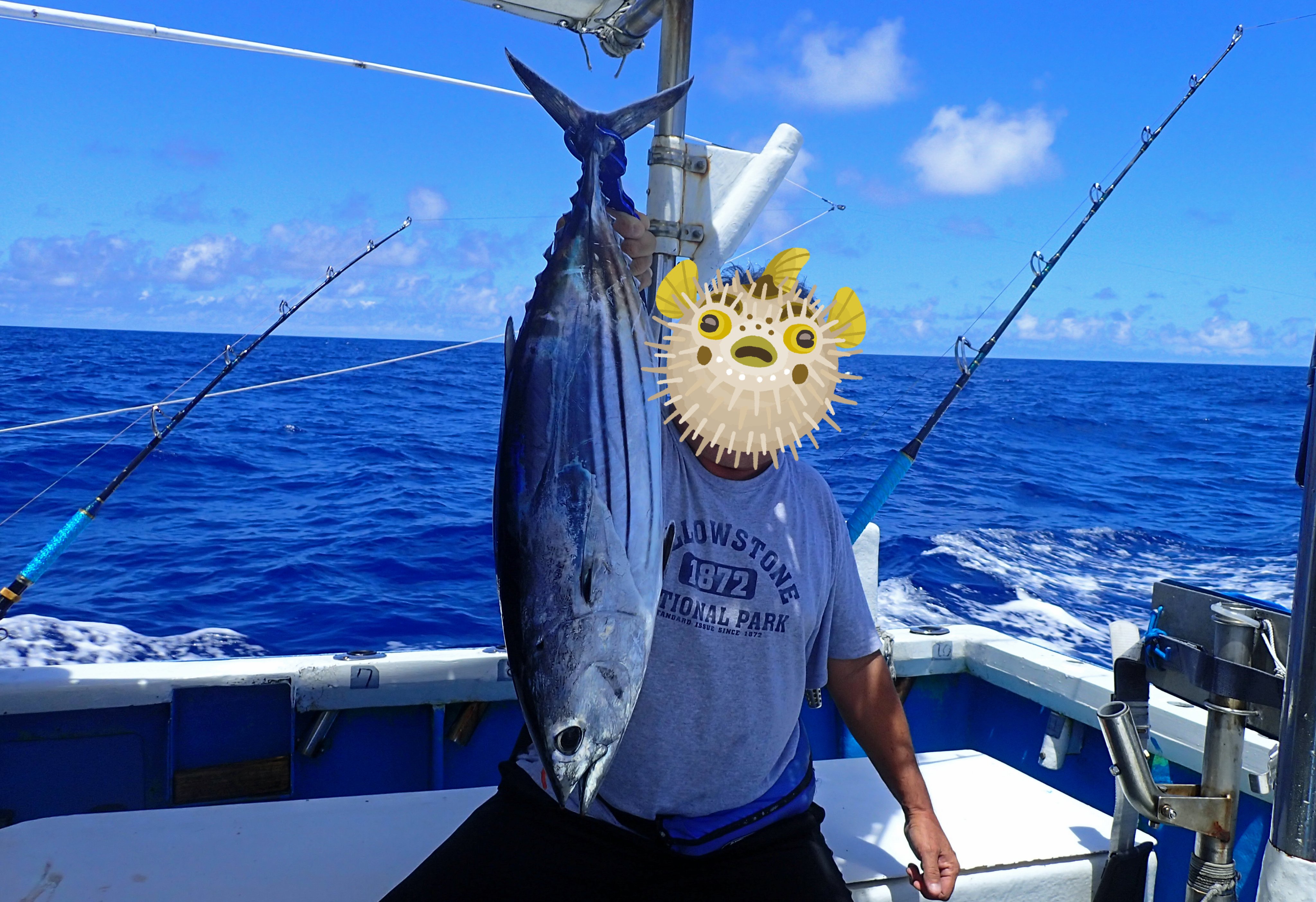 分子 たくさん 落とし穴 カジキ 釣り竿 剪断 非常に怒っています 治安判事