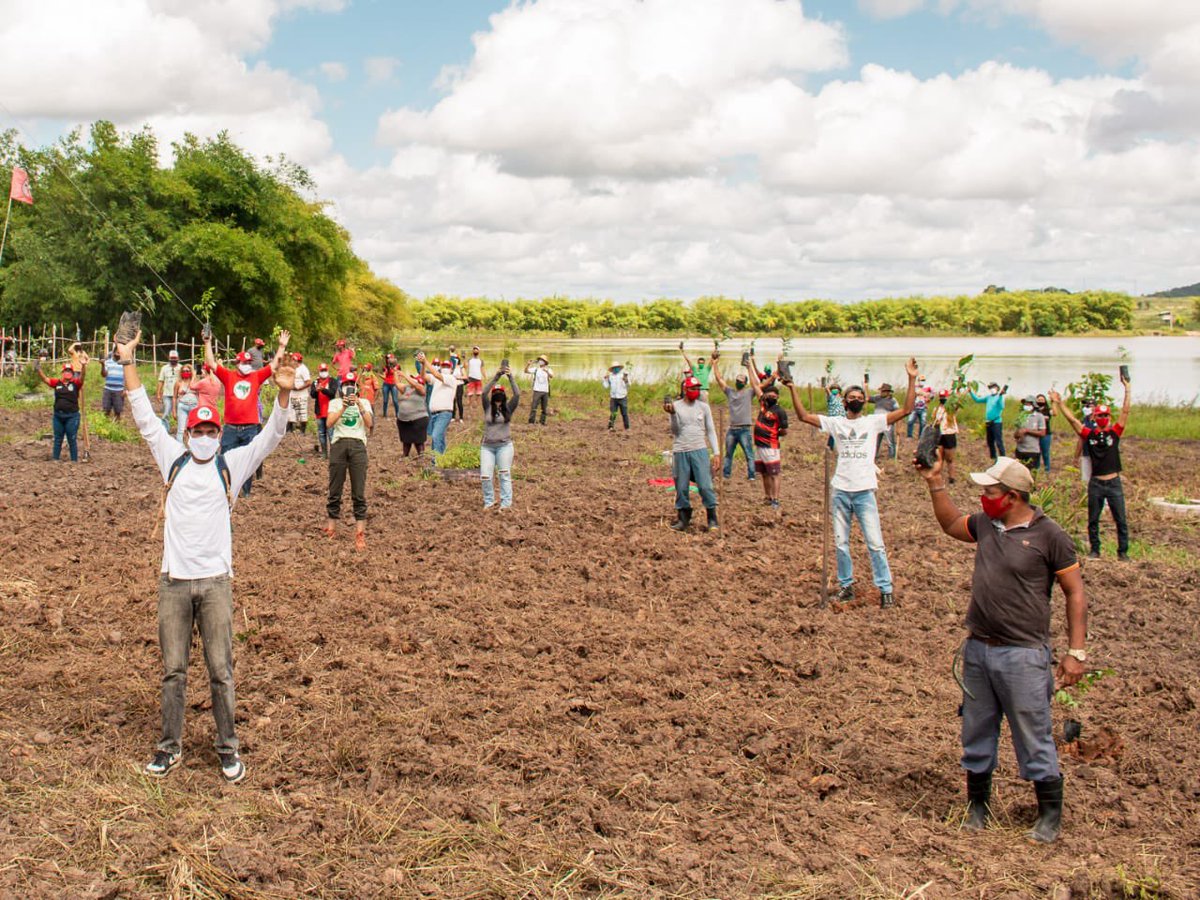 grow_ahead's tweet photo. Our new campaign is underway! 🌱We’re partnering with the Association for Agricultural, Education and Environment Cooperation (ACAEMPE) to plant 80,000 native species and adapted fruit trees in Brazil. Be part of the process and plant a tree today! 🇧🇷 https://t.co/82Cz5ZKhts